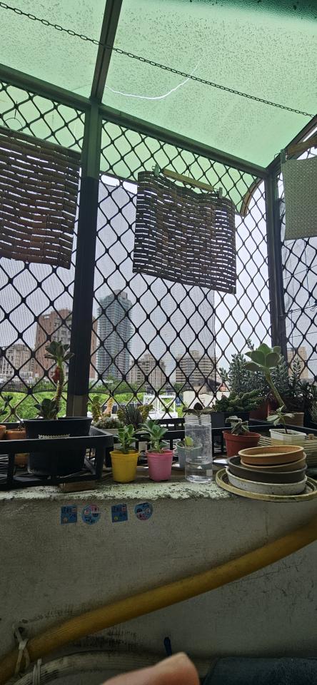 遮雨棚安裝案件圖片
