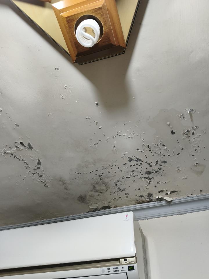 抓漏案件圖片