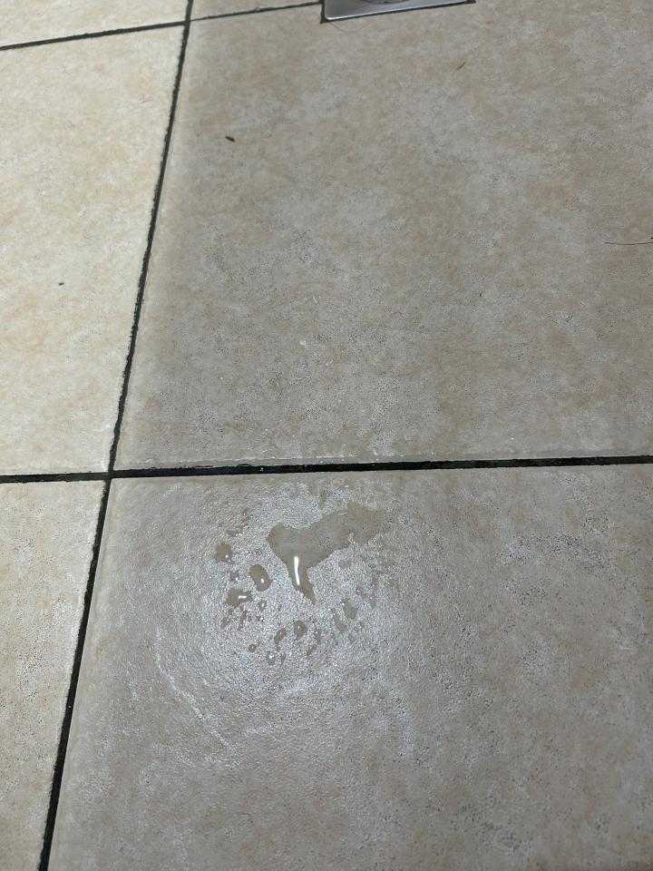 漏水處理案件圖片