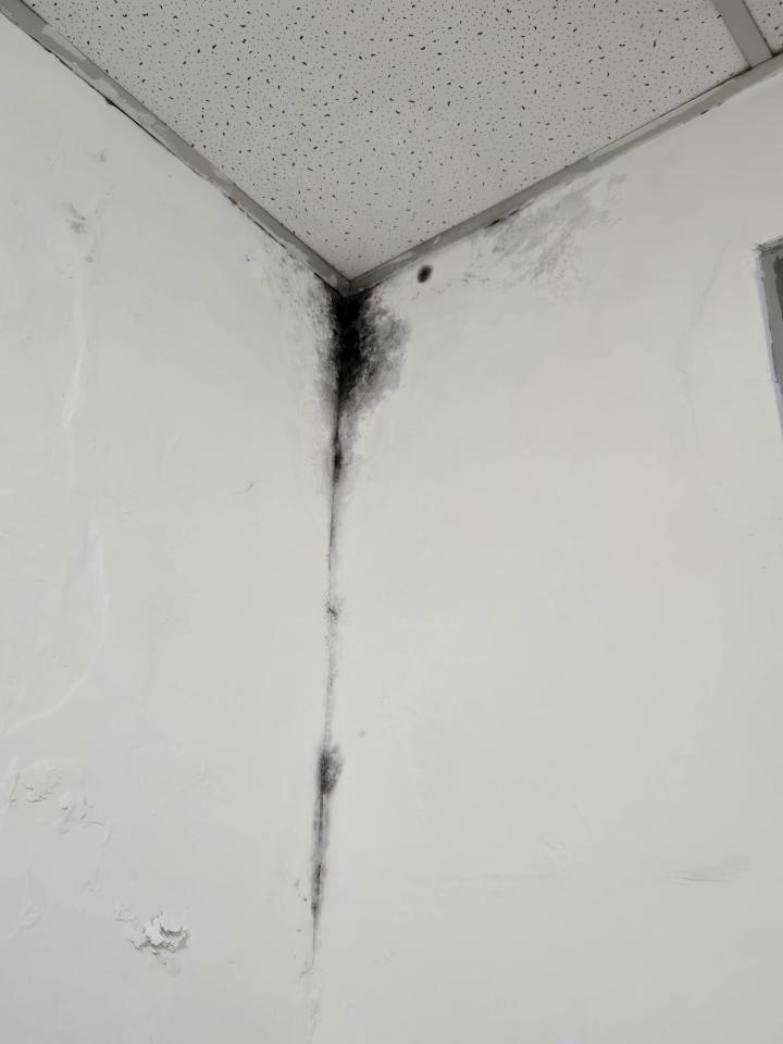 除霉案件圖片