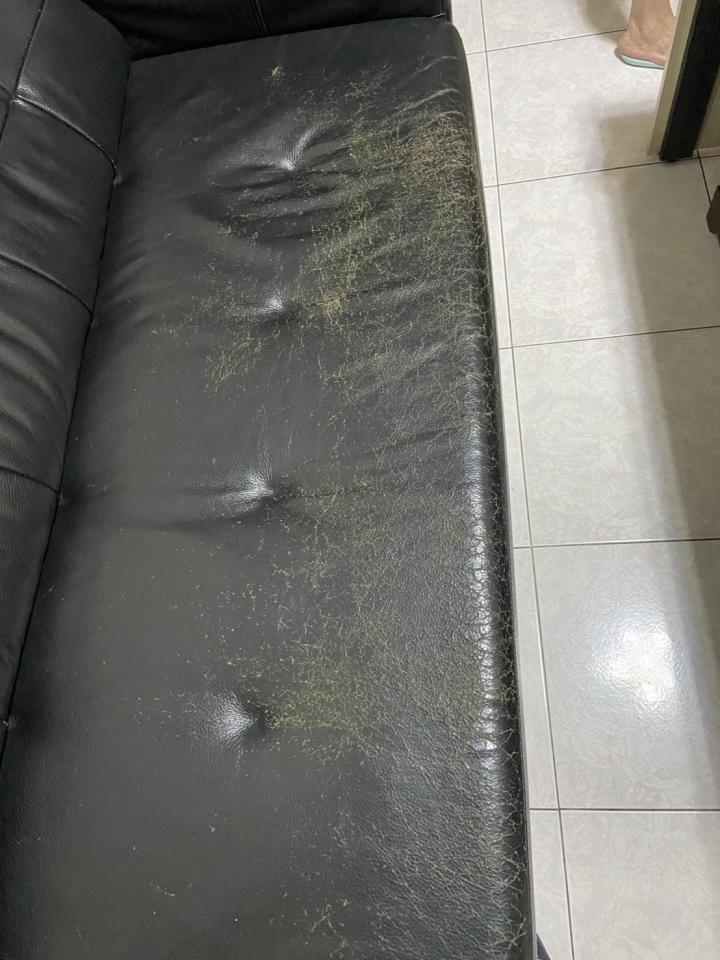 沙發修理案件圖片
