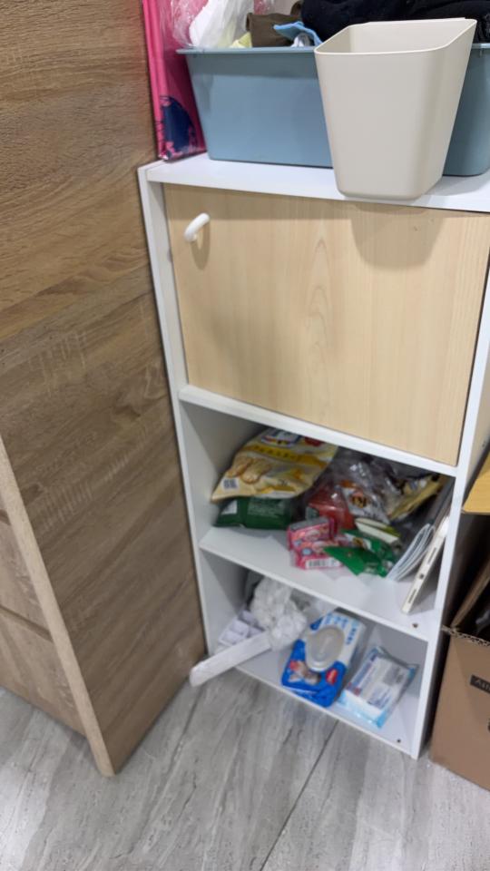 大型垃圾回收案件圖片