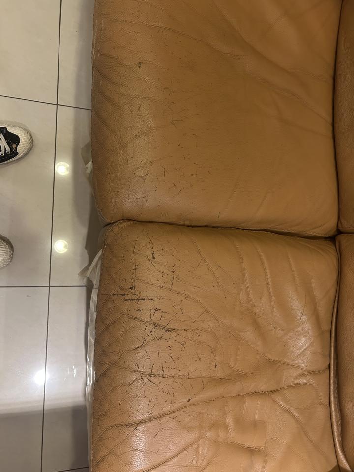 沙發修理案件圖片