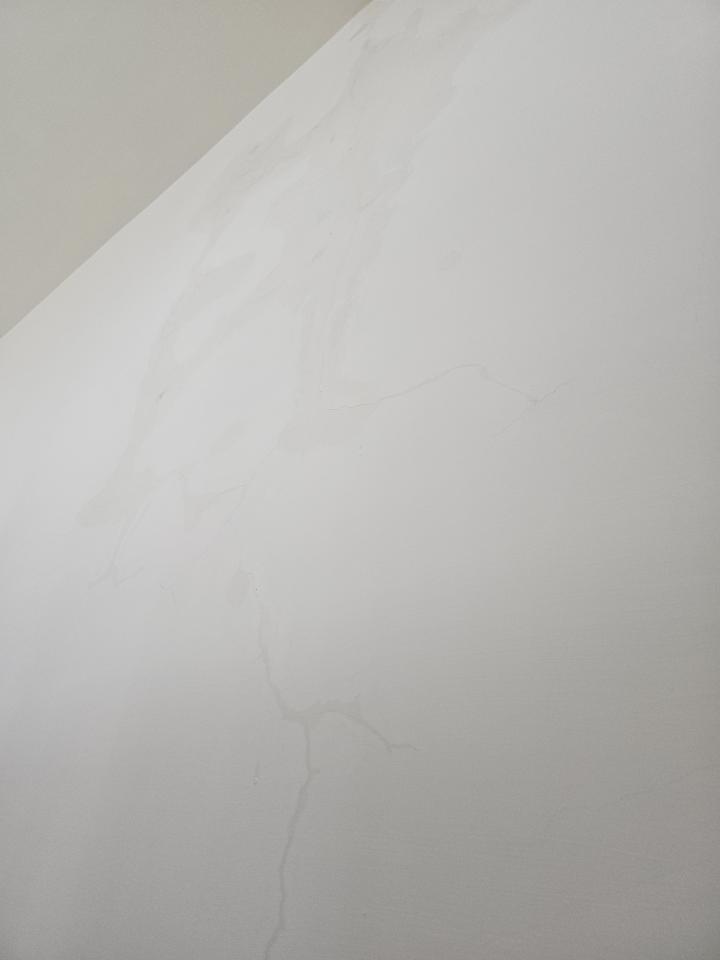 抓漏案件圖片