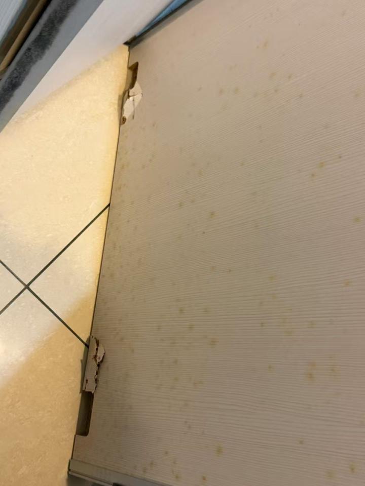 木工施工案件圖片