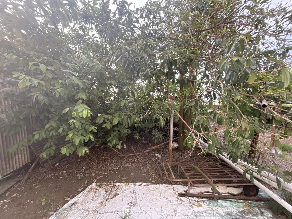 園藝維護案件圖片