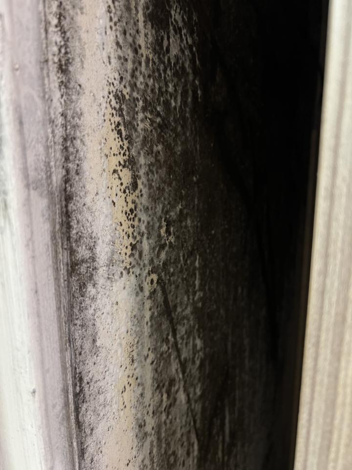 壁癌處理案件圖片