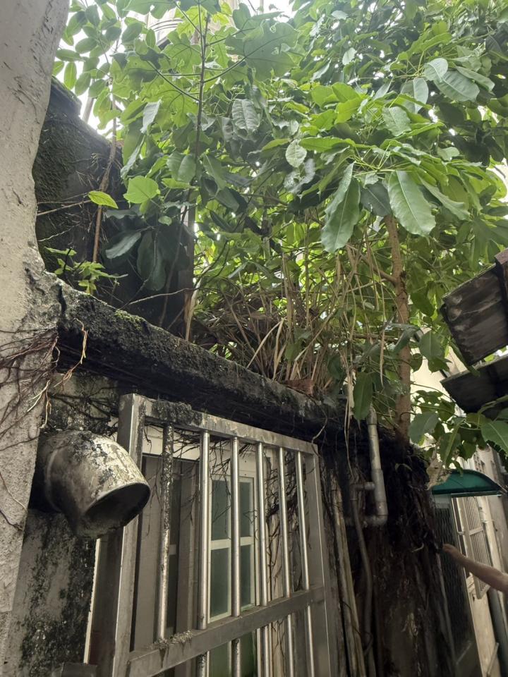 漏水處理案件圖片
