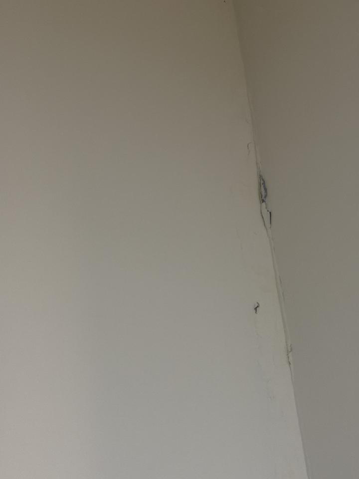 老屋翻新案件圖片