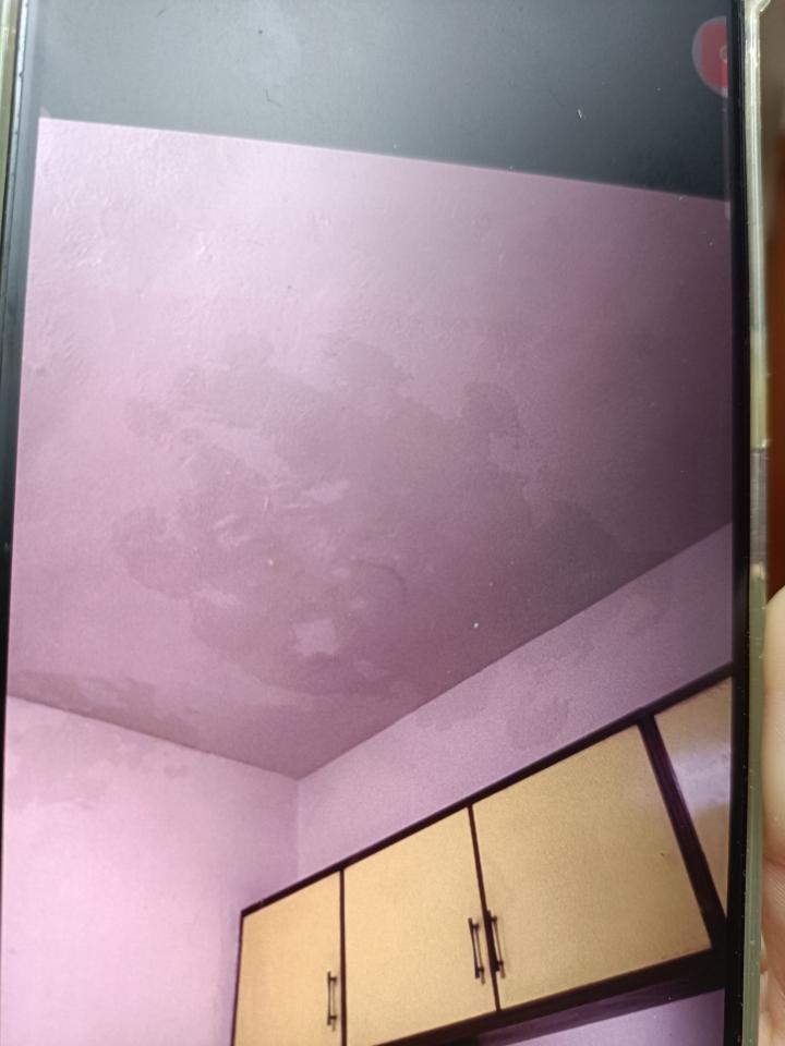 抓漏案件圖片