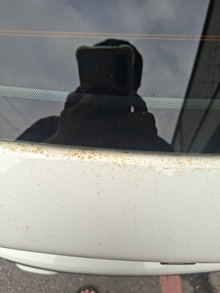 汽車板金烤漆案件圖片