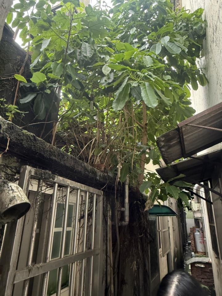 漏水處理案件圖片