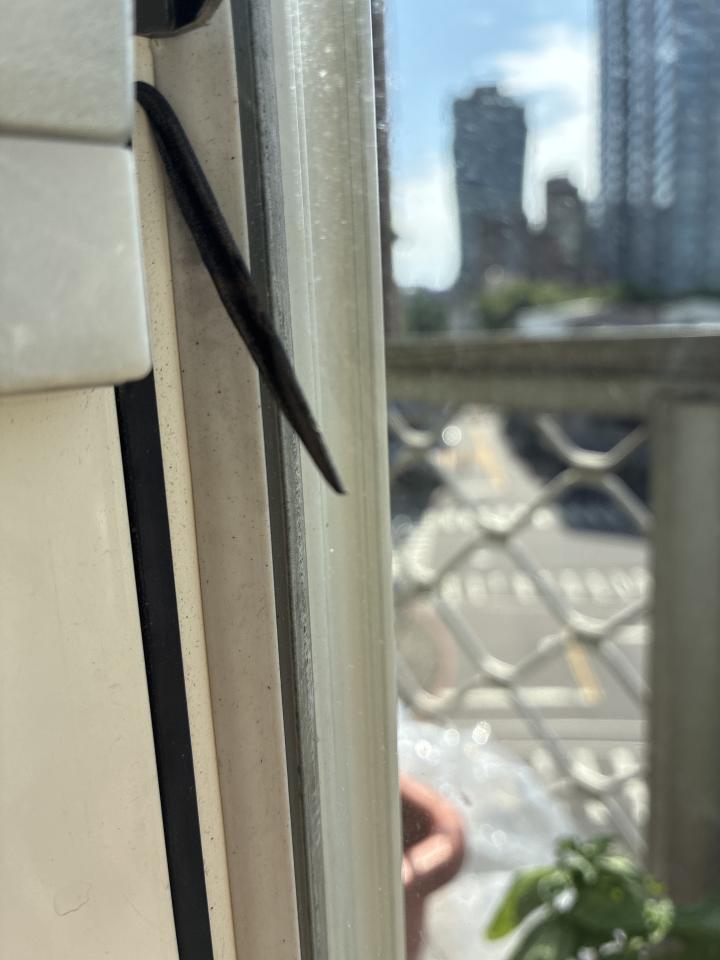 窗戶維修案件圖片