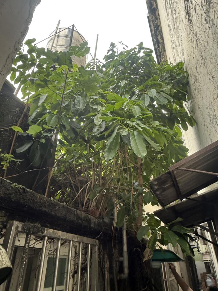 漏水處理案件圖片