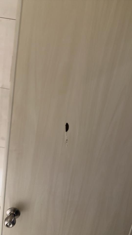 門片維修案件圖片