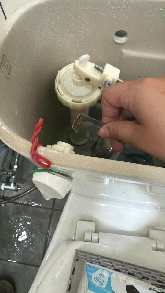 馬桶裝修案件圖片