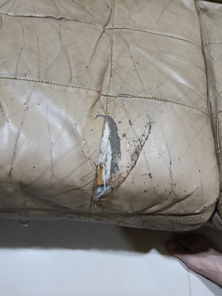 沙發修理案件圖片