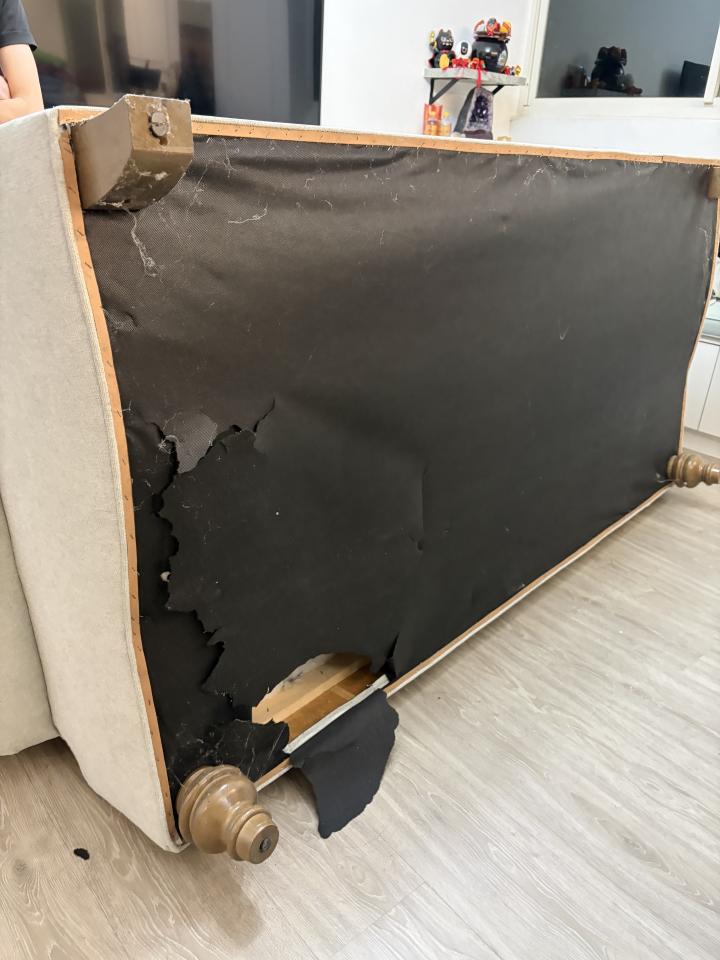 沙發清潔案件圖片