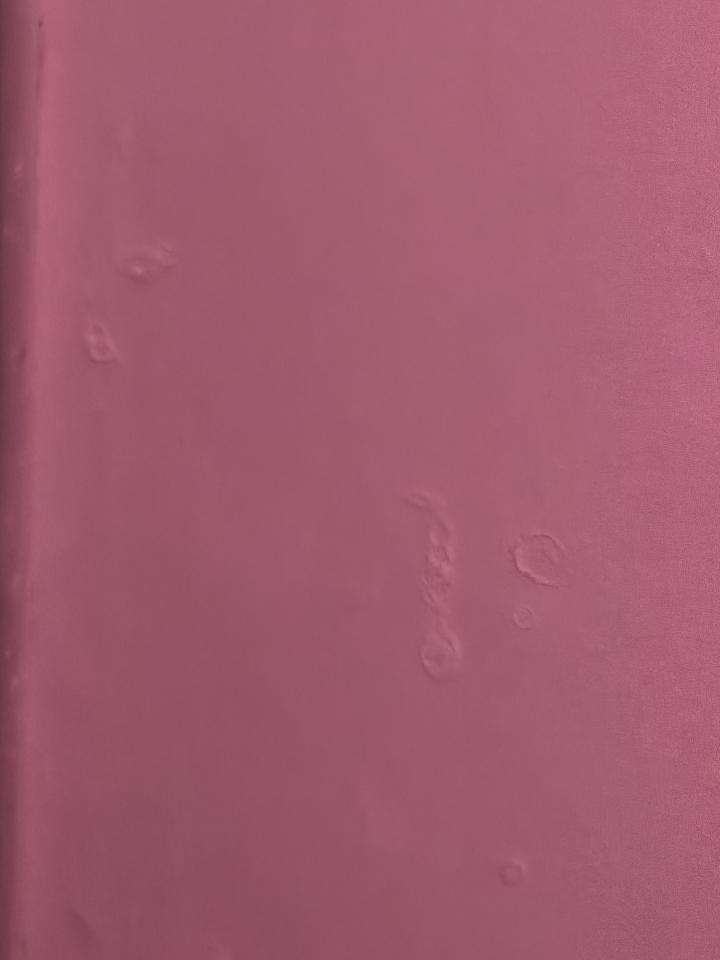 老屋翻新案件圖片