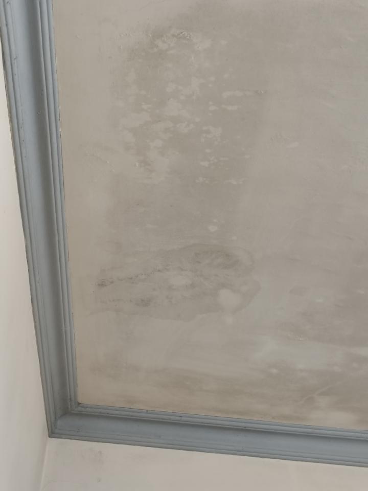 漏水鑑定案件圖片