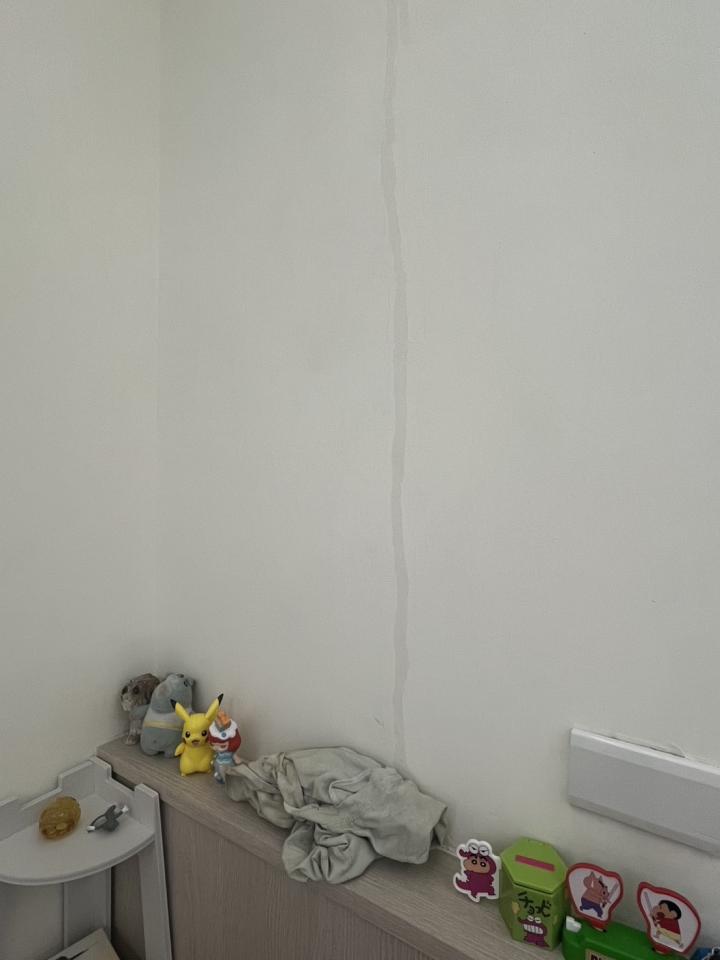 抓漏案件圖片