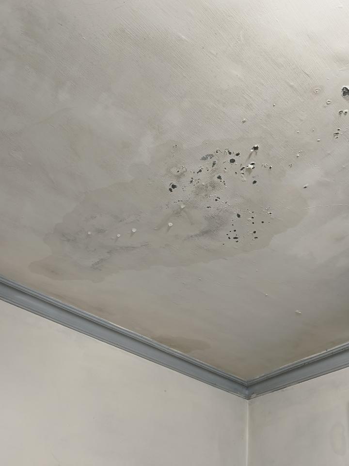 抓漏案件圖片