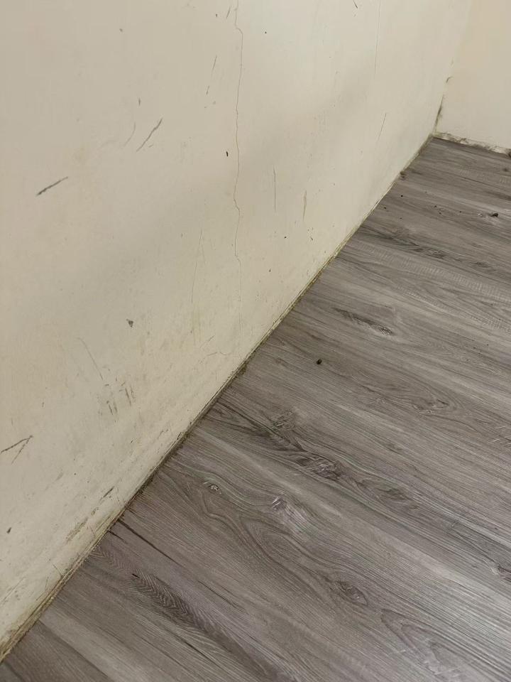 油漆工程案件圖片