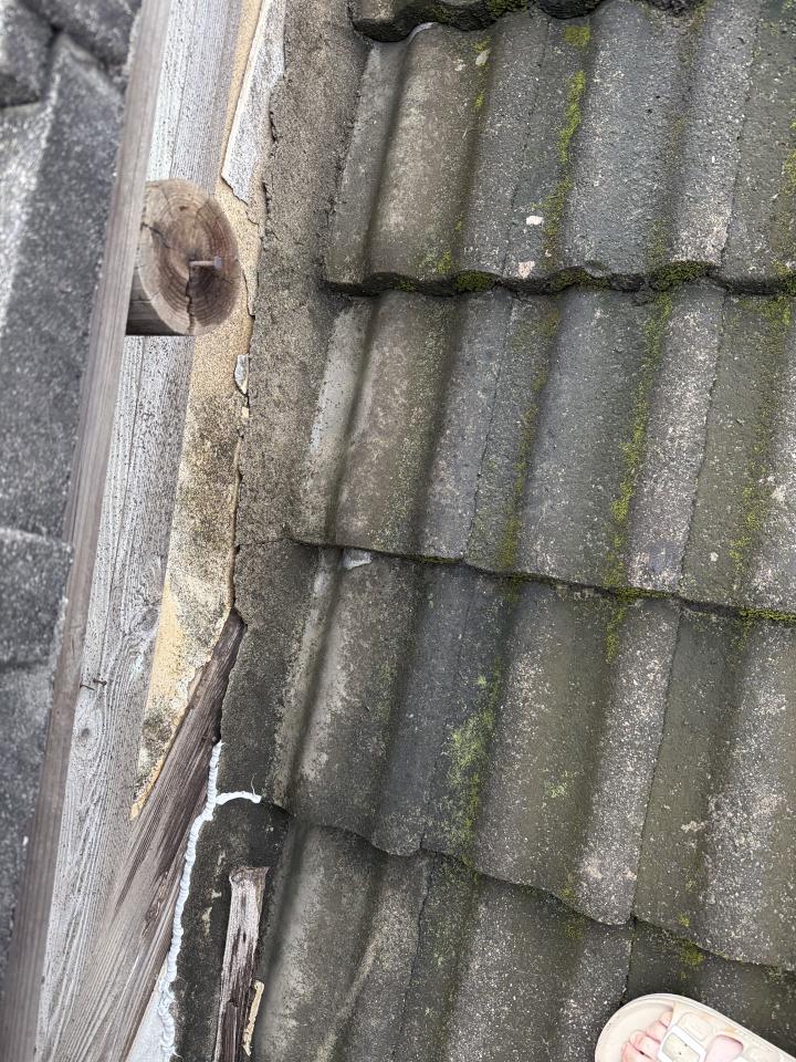 鐵皮屋頂案件圖片