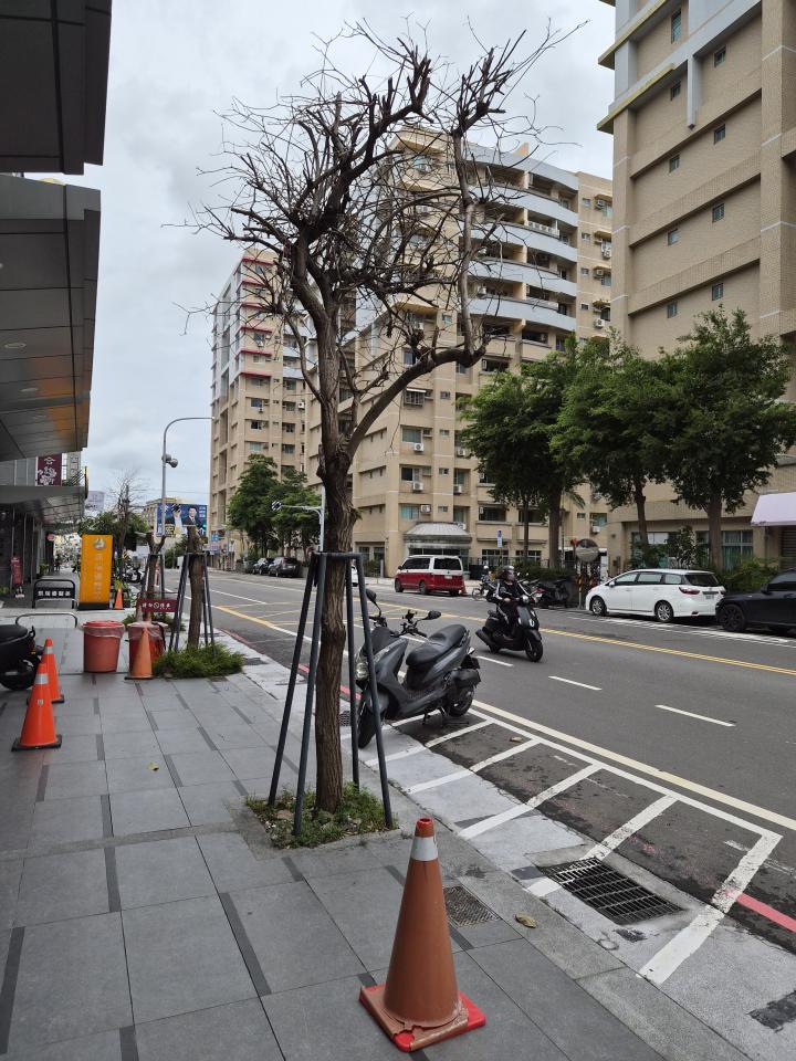 園藝維護案件圖片