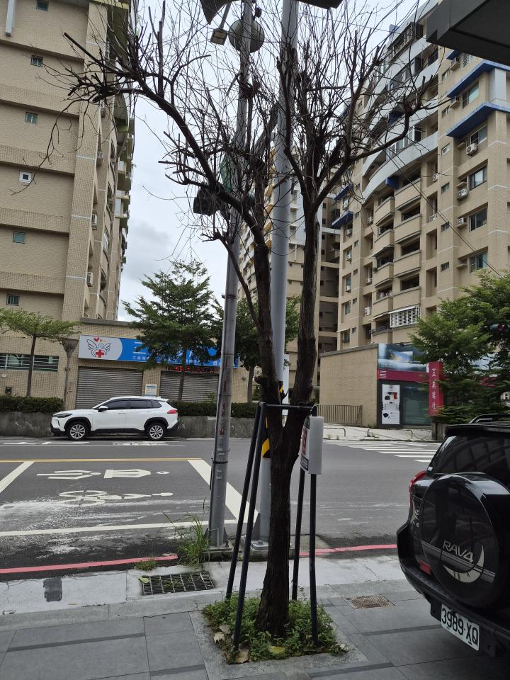 園藝維護案件圖片