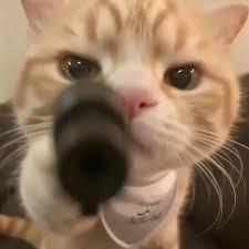 提供aed步驟服務的專家CJX
