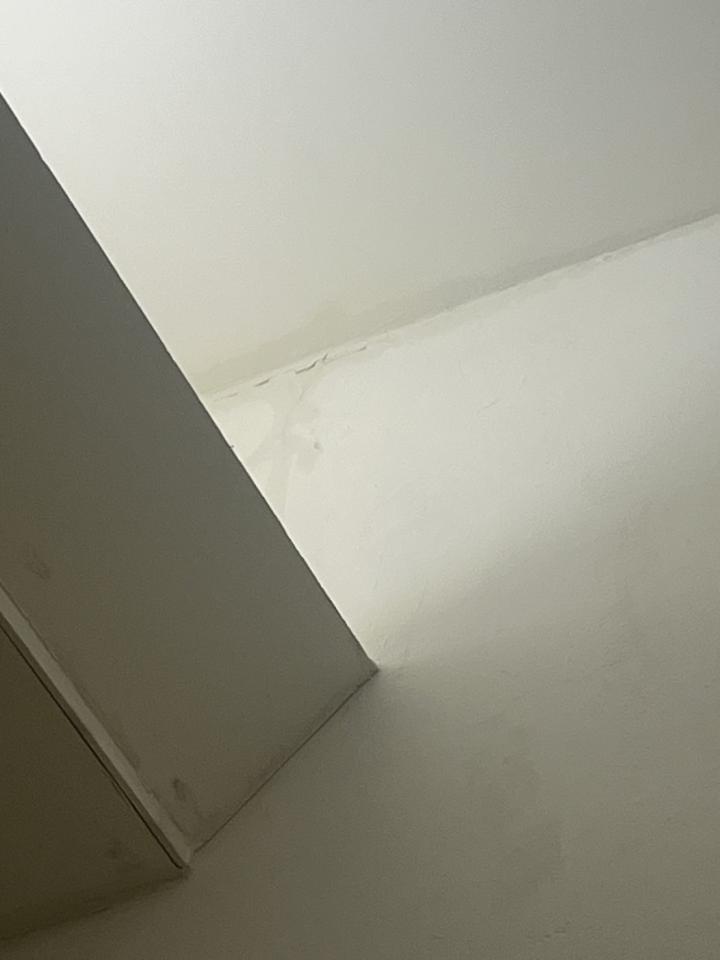 抓漏案件圖片