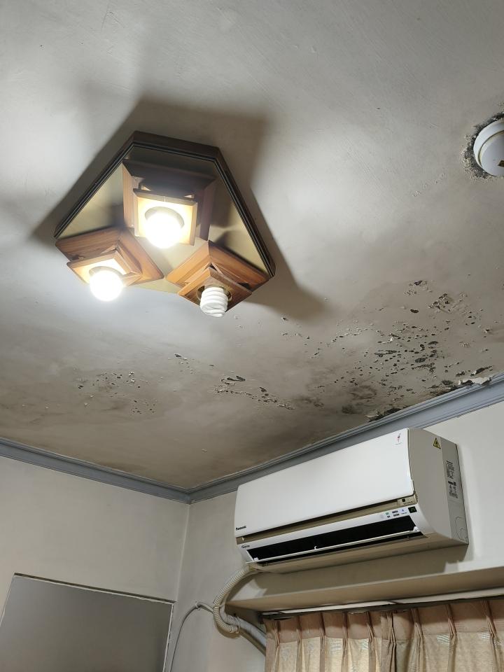 抓漏案件圖片