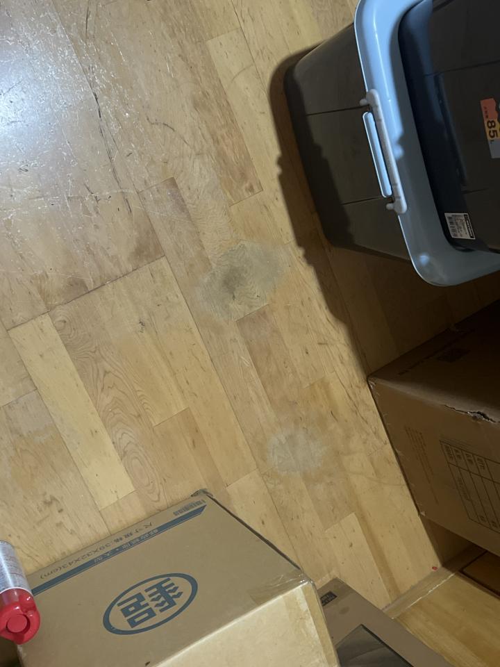 地板施工案件圖片