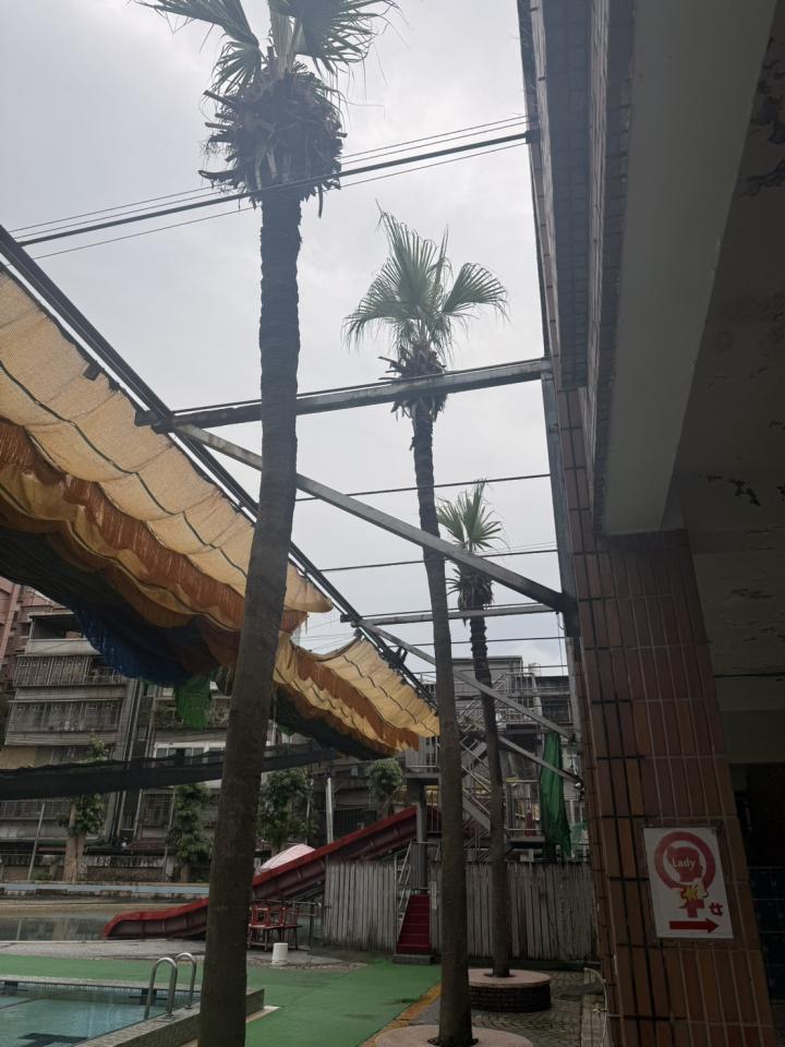 園藝維護案件圖片