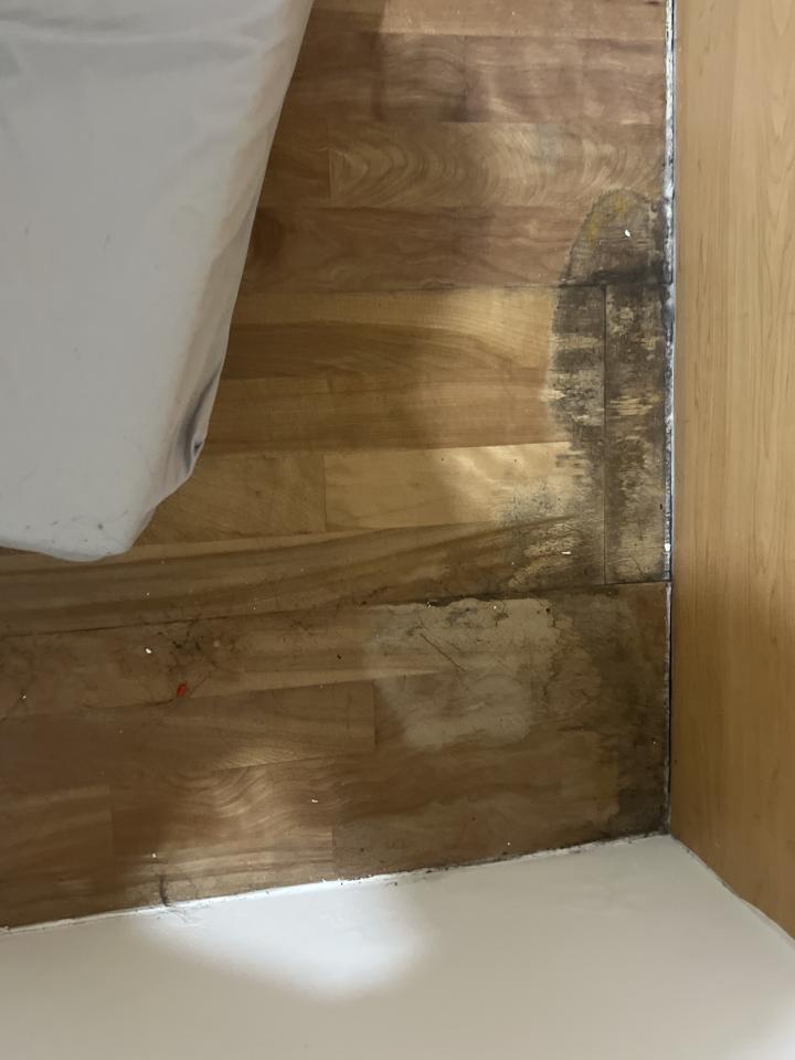 地板施工案件圖片