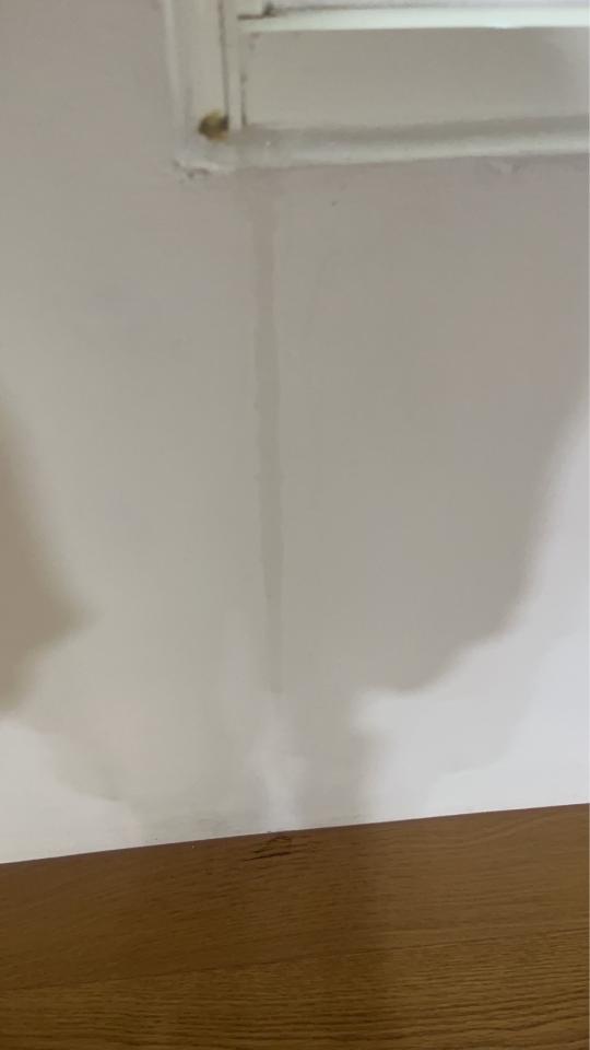 抓漏案件圖片