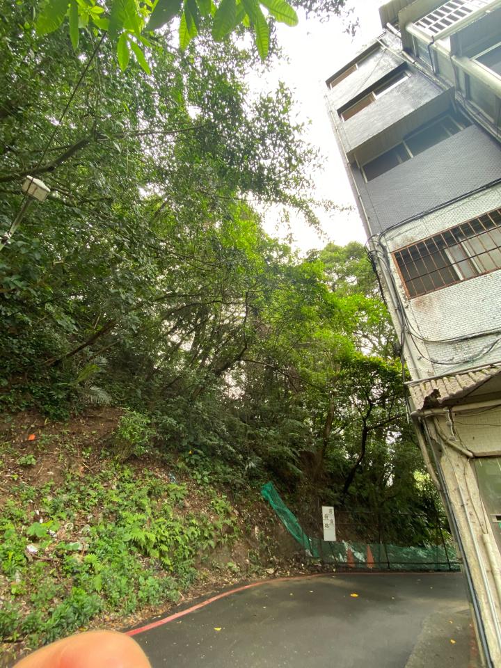園藝維護案件圖片