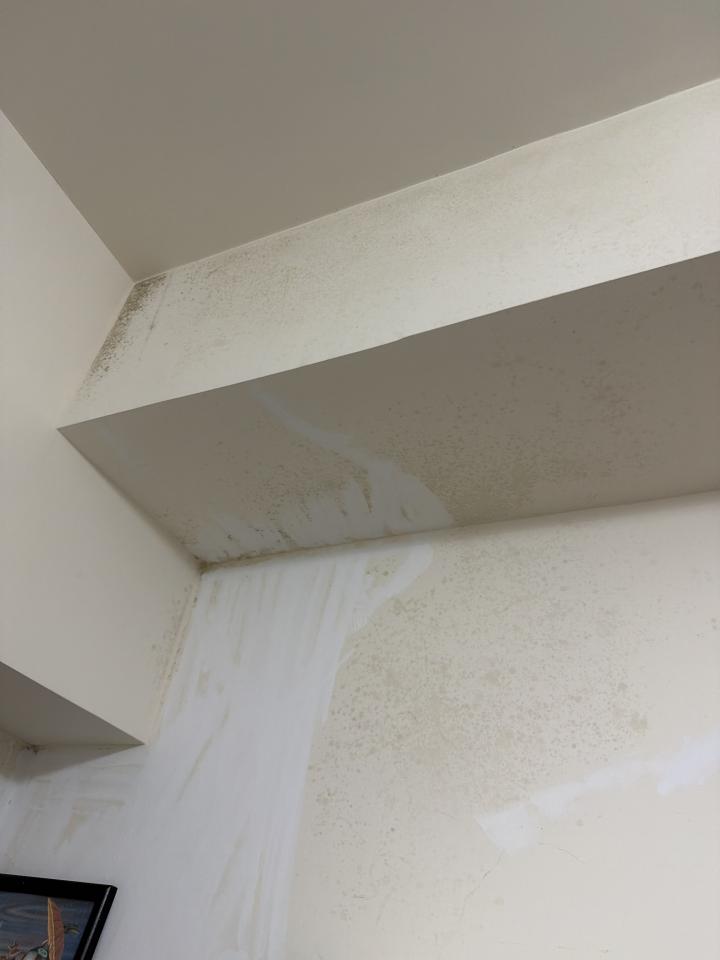 油漆工程案件圖片