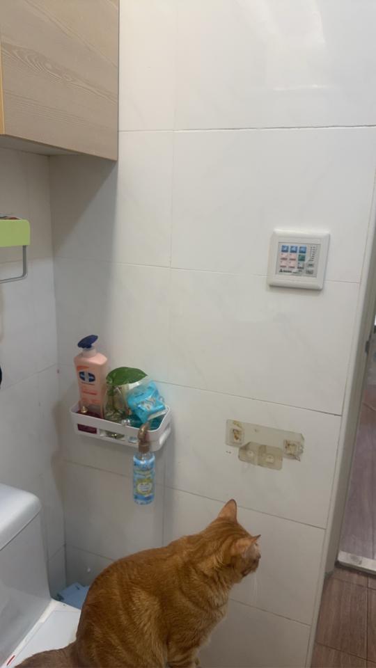 浴室暖風機安裝案件圖片
