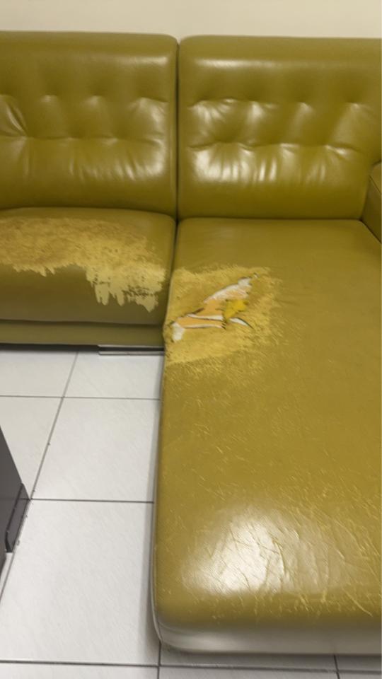 沙發修理案件圖片