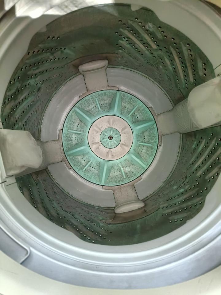 洗衣機清洗案件圖片