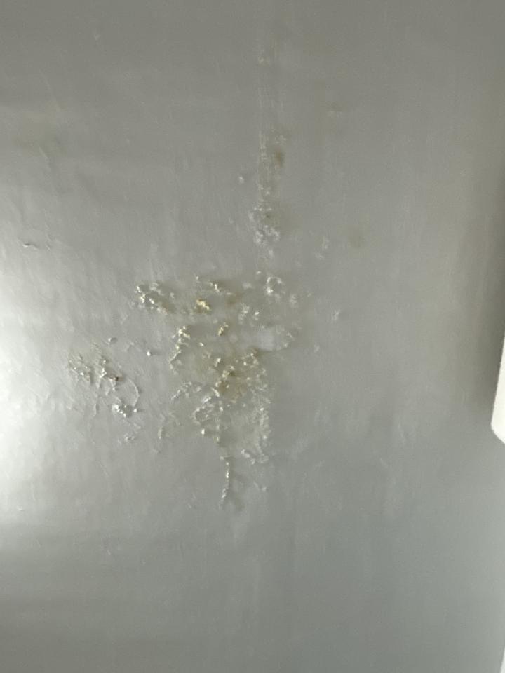 屋頂防水案件圖片