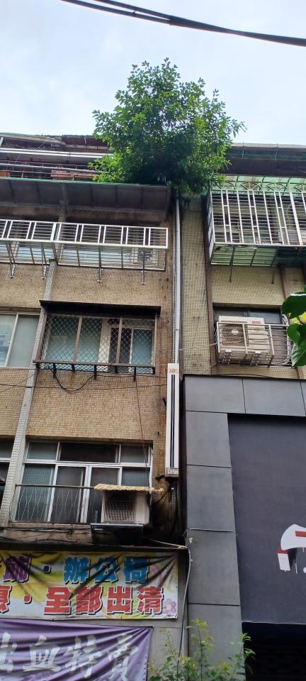 園藝維護案件圖片