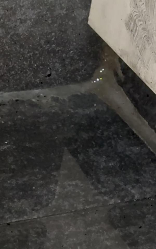 漏水處理案件圖片