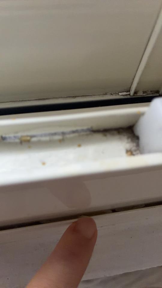 屋頂防水案件圖片