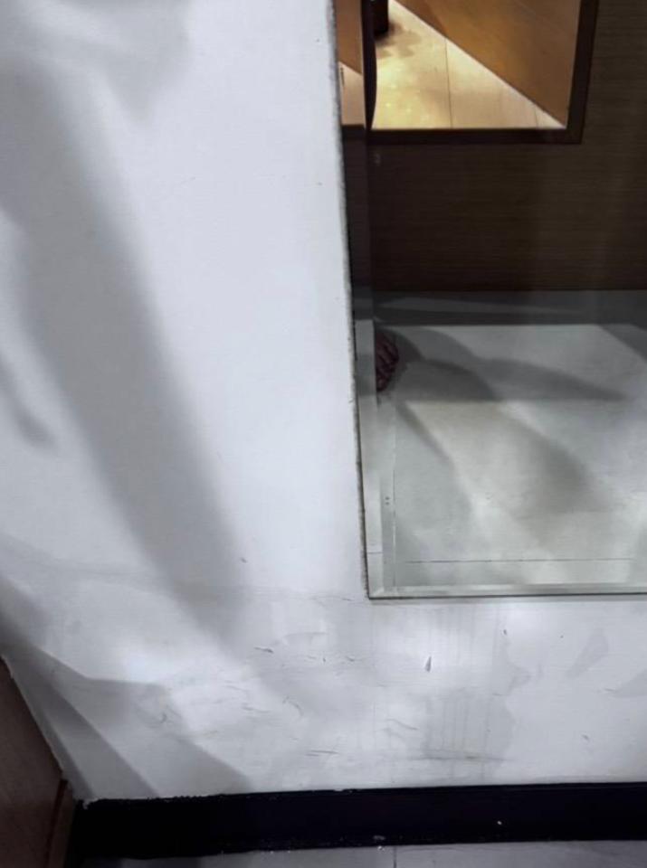 抓漏案件圖片