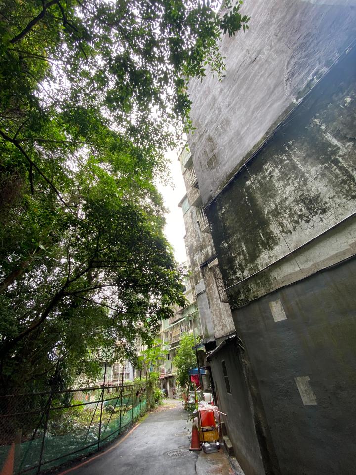 園藝維護案件圖片