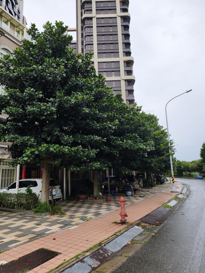 園藝維護案件圖片