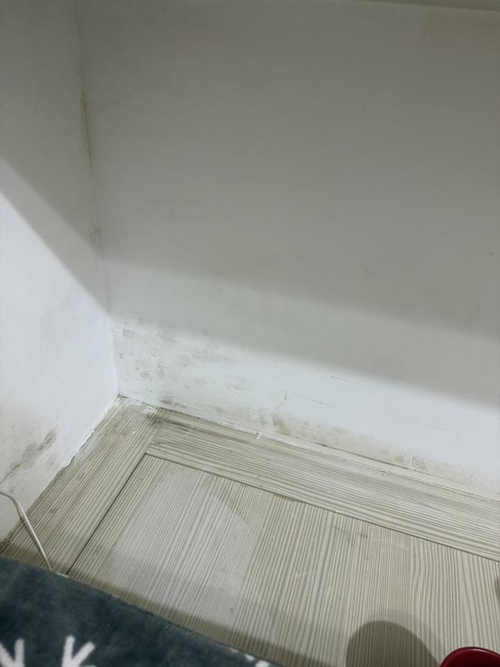 油漆工程案件圖片